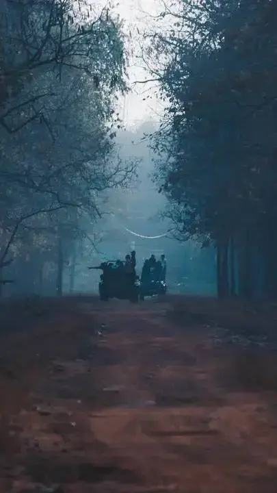 Tadoba Jungle Safari