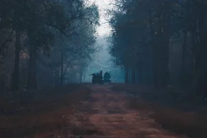 Incredible Tadoba