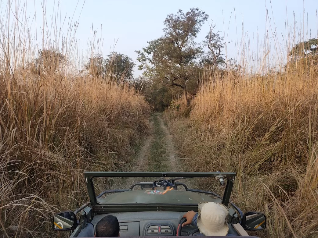 Tadoba Safari Rules and Regulations